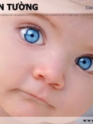 Tranh dán tường BABY BB036