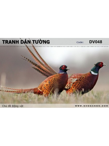 Tranh dán tường Động vật DV048 Tranh dán tường Động vật DV048