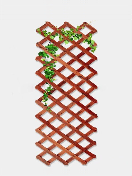 Giàn leo gỗ xếp gọn Tràm Bông Vàng-Đỏ Giàn leo gỗ xếp gọn Tràm Bông Vàng-Đỏ