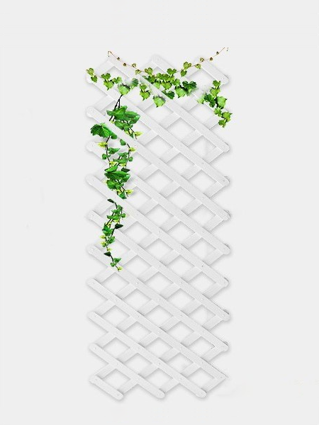 Giàn leo gỗ xếp gọn Tràm Bông Vàng-Trắng Giàn leo gỗ xếp gọn Tràm Bông Vàng-Trắng