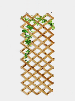 Giàn leo gỗ xếp gọn Tràm Bông Vàng-Vàng