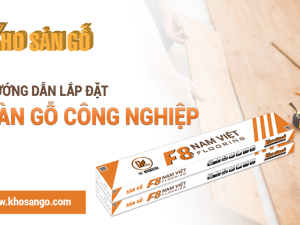 Video - Hướng dẫn thi công sàn gỗ giá rẻ F8