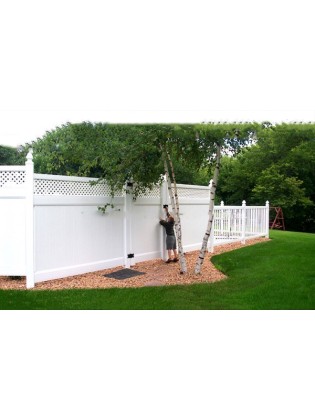 Hàng rào, cổng K33 Hàng rào, cổng K33