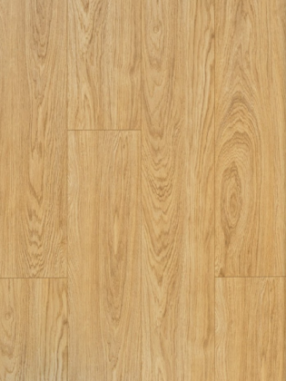 Sàn gỗ Kronopol D4588