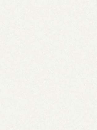 Giấy dán tường CANDY 2002-1 Giấy dán tường CANDY 2002-1