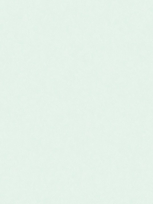 Giấy dán tường CANDY 2002-5 Giấy dán tường CANDY 2002-5