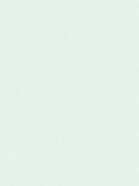 Giấy dán tường CANDY 2002-5 Giấy dán tường CANDY 2002-5