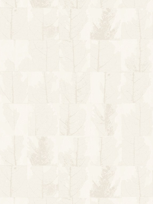 Giấy dán tường CANDY 2007-2 Giấy dán tường CANDY 2007-2