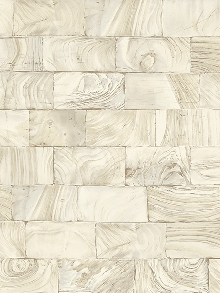 Giấy dán tường CANDY 2009-2