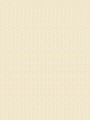 Giấy dán tường CASSIA 8653-2 Giấy dán tường CASSIA 8653-2