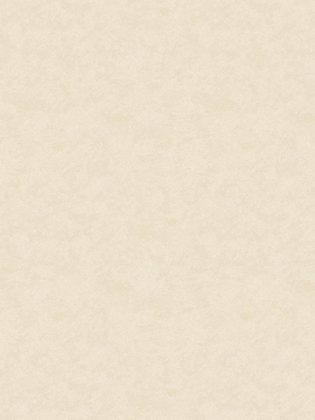 Giấy dán tường CASSIA 8662-2 Giấy dán tường CASSIA 8662-2