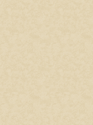 Giấy dán tường CASSIA 8662-3 Giấy dán tường CASSIA 8662-3