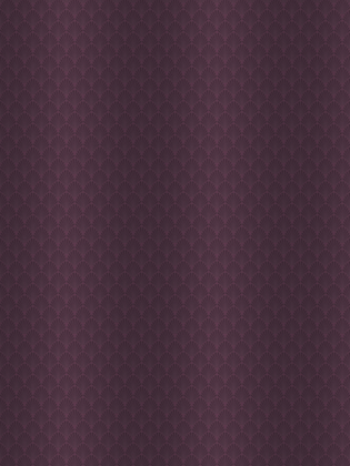 Giấy Dán Tường DIO 14013 Giấy Dán Tường DIO 14013