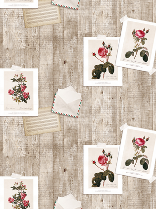 Giấy Dán Tường DIO 14072 Giấy Dán Tường DIO 14072