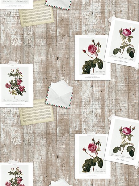 Giấy Dán Tường DIO 14073 Giấy Dán Tường DIO 14073