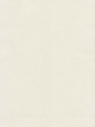 Giấy Dán Tường DIO 14161 Giấy Dán Tường DIO 14161