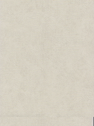 Giấy Dán Tường DIO 14162 Giấy Dán Tường DIO 14162