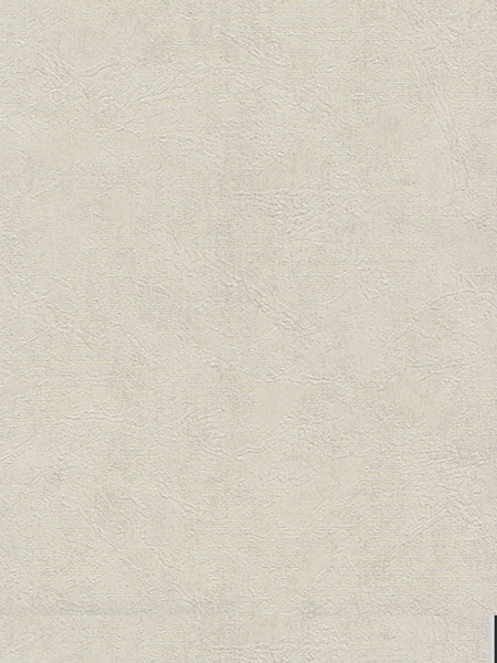 Giấy Dán Tường DIO 14162 Giấy Dán Tường DIO 14162