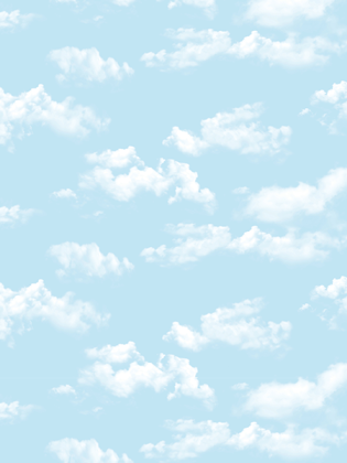 Giấy dán tường Dream World 5125-1