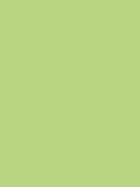 Giấy dán tường Dream World 5156-4 Giấy dán tường Dream World 5156-4