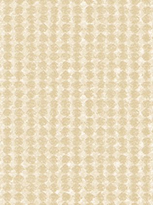 Giấy Dán Tường EAGLE 2004-1 Giấy Dán Tường EAGLE 2004-1