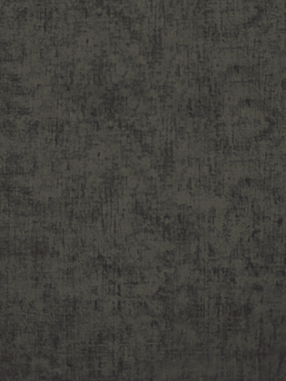 Giấy Dán Tường EAGLE 2005-2 Giấy Dán Tường EAGLE 2005-2