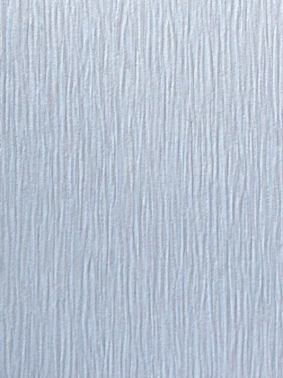 Giấy Dán Tường EAGLE 2007-4 Giấy Dán Tường EAGLE 2007-4