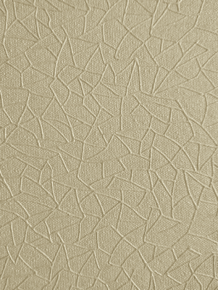 Giấy Dán Tường EAGLE 2010-2 Giấy Dán Tường EAGLE 2010-2