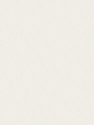 Giấy dán tường FIESTA 23034 Giấy dán tường FIESTA 23034