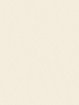 Giấy dán tường FIESTA 23035 Giấy dán tường FIESTA 23035