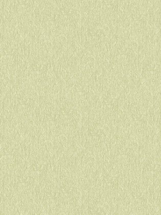 Giấy dán tường FIESTA 23036 Giấy dán tường FIESTA 23036