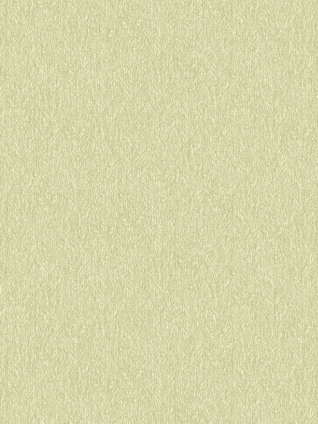 Giấy dán tường FIESTA 23036 Giấy dán tường FIESTA 23036