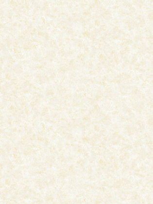 Giấy dán tường FIESTA 23211 Giấy dán tường FIESTA 23211