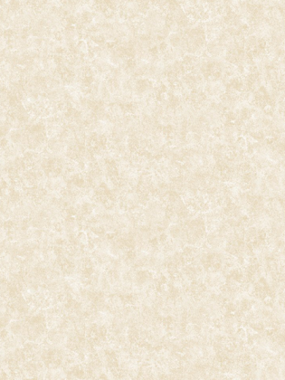 Giấy dán tường FIESTA 23214 Giấy dán tường FIESTA 23214