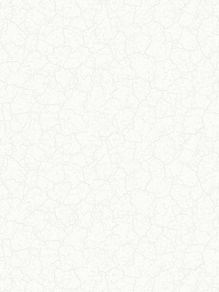 Giấy dán tường FLORIA 7705-2 Giấy dán tường FLORIA 7705-2