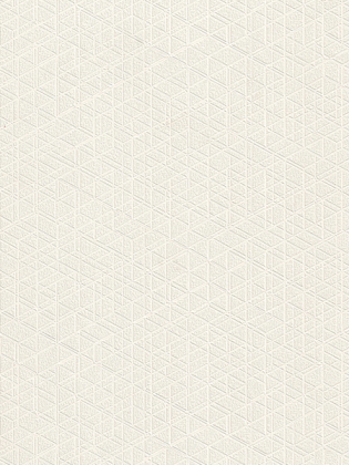 Giấy dán tường HOME 888-011 Giấy dán tường HOME 888-011