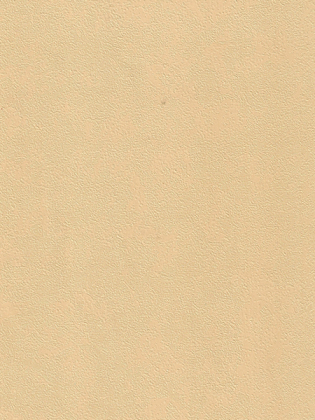 Giấy dán tường HOME M80002 Giấy dán tường HOME M80002