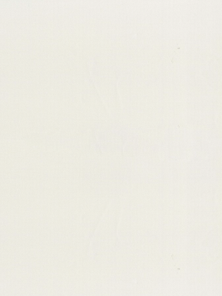 Giấy dán tường LILY 36010-3 Giấy dán tường LILY 36010-3