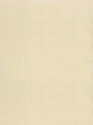 Giấy dán tường LILY 36010-4 Giấy dán tường LILY 36010-4