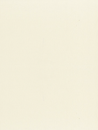 Giấy dán tường LILY 36012-2 Giấy dán tường LILY 36012-2