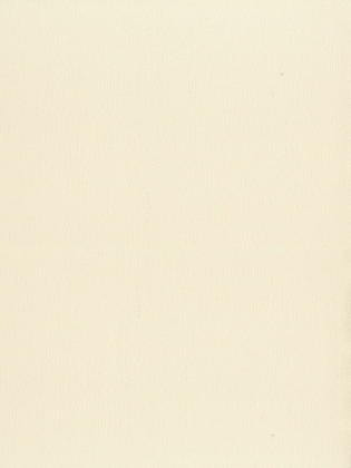 Giấy dán tường LILY 36012-3 Giấy dán tường LILY 36012-3