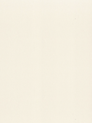 Giấy dán tường LILY 36012-4 Giấy dán tường LILY 36012-4