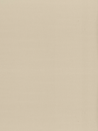 Giấy dán tường LILY 36012-5 Giấy dán tường LILY 36012-5