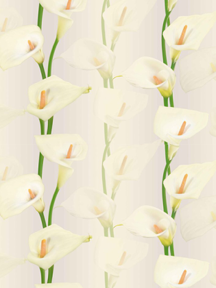 Giấy dán tường LILY 36013-3 Giấy dán tường LILY 36013-3