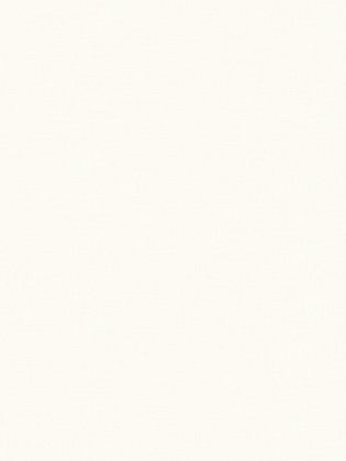 Giấy Dán Tường MORDERN 25006-1 Giấy Dán Tường MORDERN 25006-1