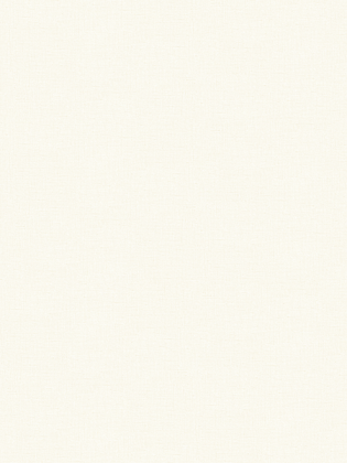 Giấy Dán Tường MORDERN 25006-2 Giấy Dán Tường MORDERN 25006-2