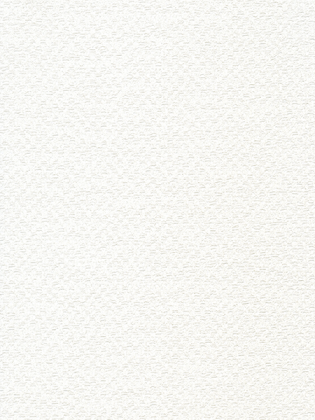 Giấy Dán Tường MORDERN 25024-1 Giấy Dán Tường MORDERN 25024-1