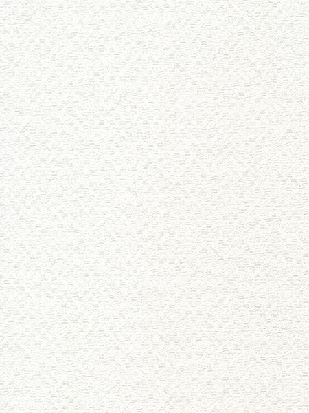 Giấy Dán Tường MORDERN 25024-1 Giấy Dán Tường MORDERN 25024-1