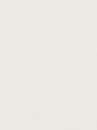 Giấy Dán Tường MORDERN 25024-3 Giấy Dán Tường MORDERN 25024-3