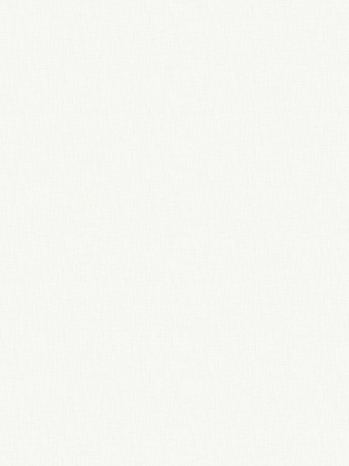 Giấy Dán Tường MORDERN 25040-2 Giấy Dán Tường MORDERN 25040-2